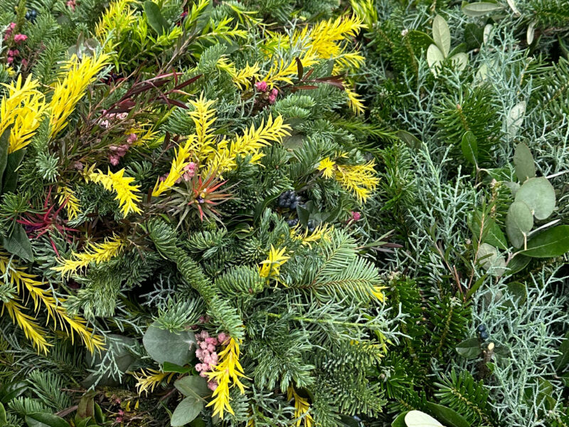 クリスマスリースを作る