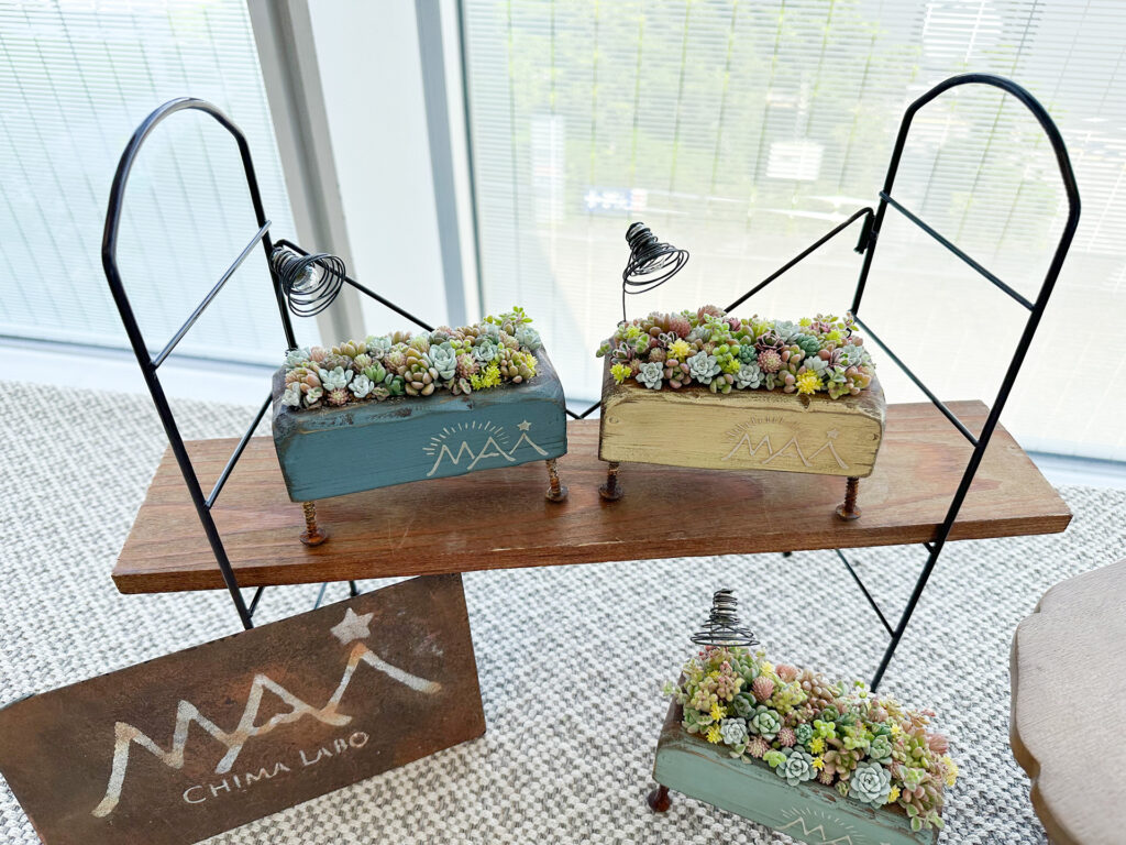 セダムの寄せ植え ~ちまちま寄せ~